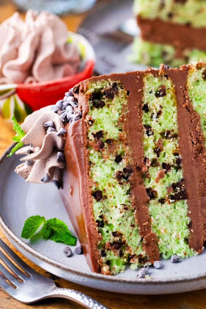 A slice of homemade mint chocolate chip cake topped with chocolate ganache.