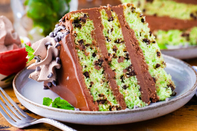 Homemade mint chocolate chip cake with green layers.