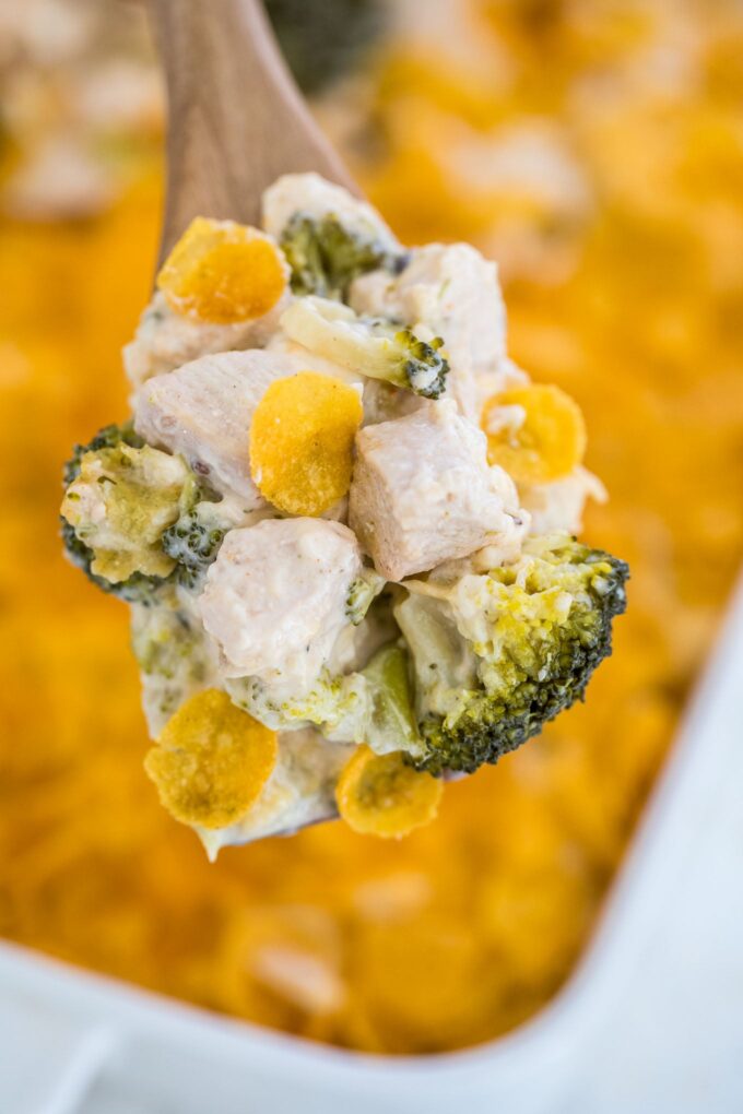 Best Chicken Divan Recipe [video] Sweet and Savory Meals