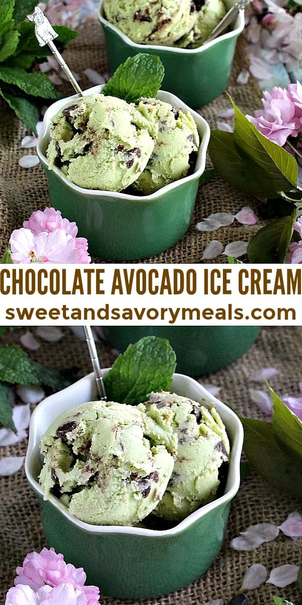 easy chocolate avocado ice cream pin