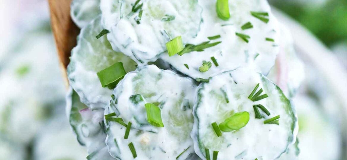 Best Creamy Cucumber Salad Recipe
