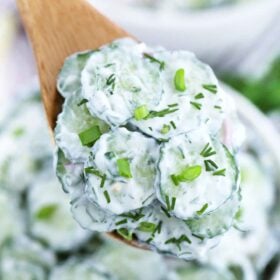 Best Creamy Cucumber Salad Recipe