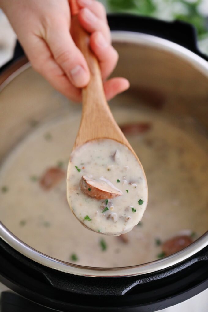 Picture of cream of mushroom soup made in the pressure cooker. 