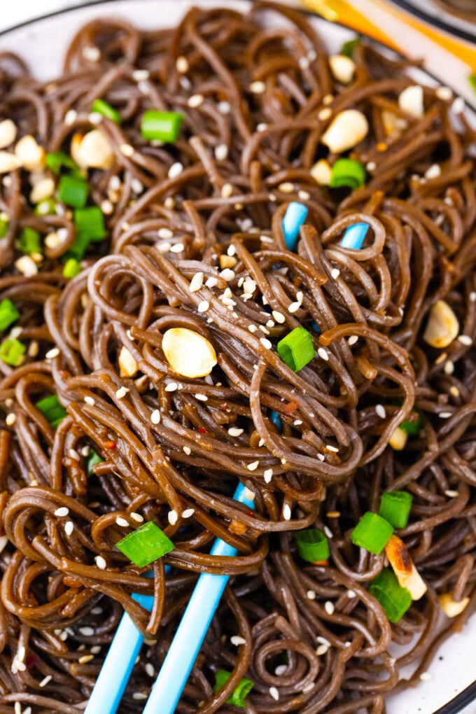Soba noodles in sweet and savory sauce, topped with chopped peanuts and green onions.