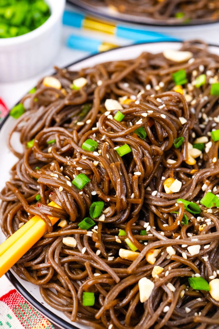 Soba noodles in sweet and savory sauce.