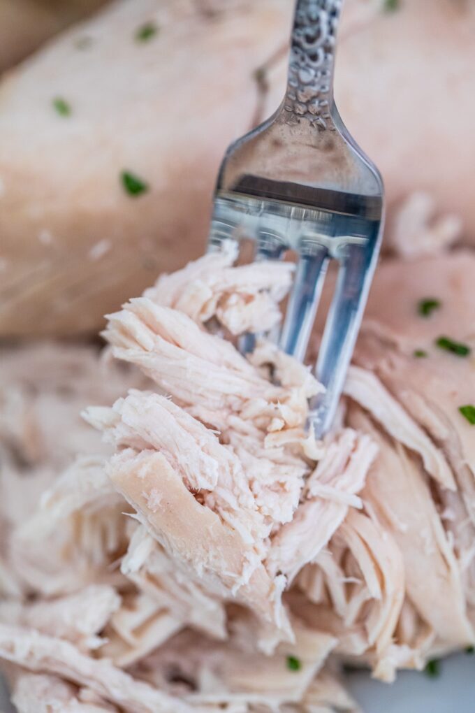 Boiled chicken shredded with a silver fork