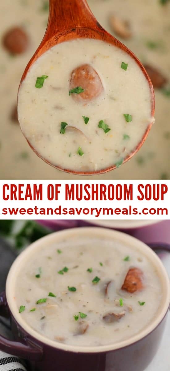 Easy cream of mushroom soup recipe