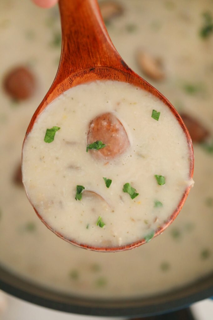 A spoonful of cream of mushroom soup