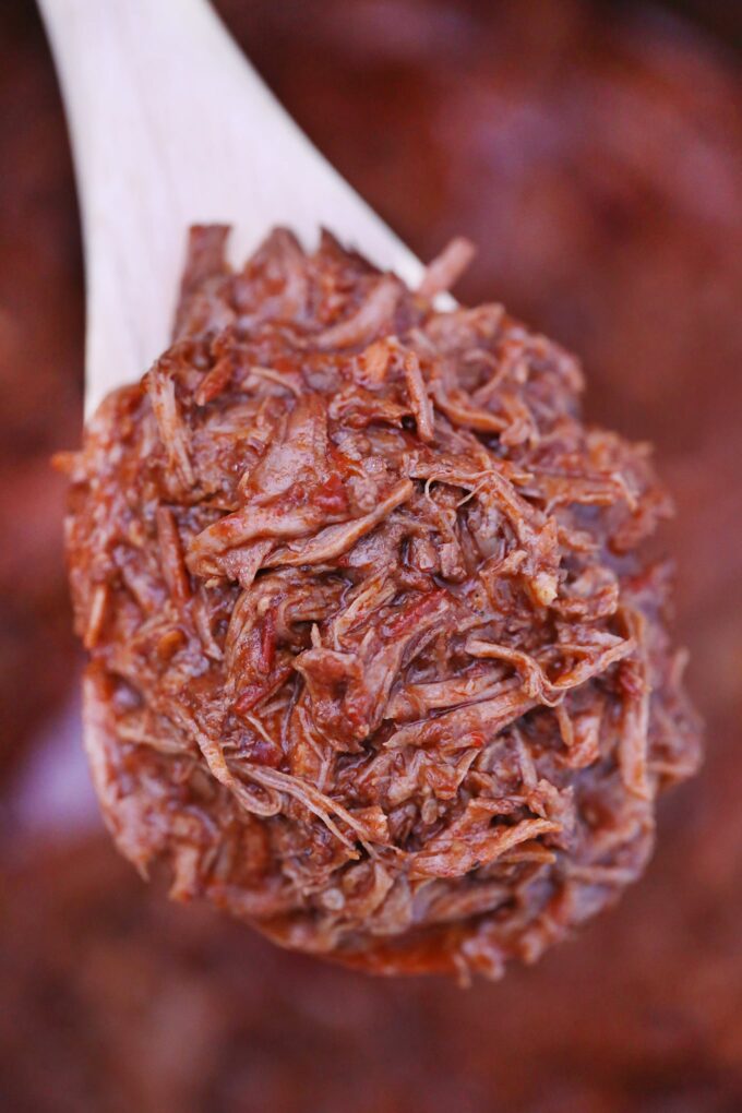 spoonful of juicy barbacoa beef