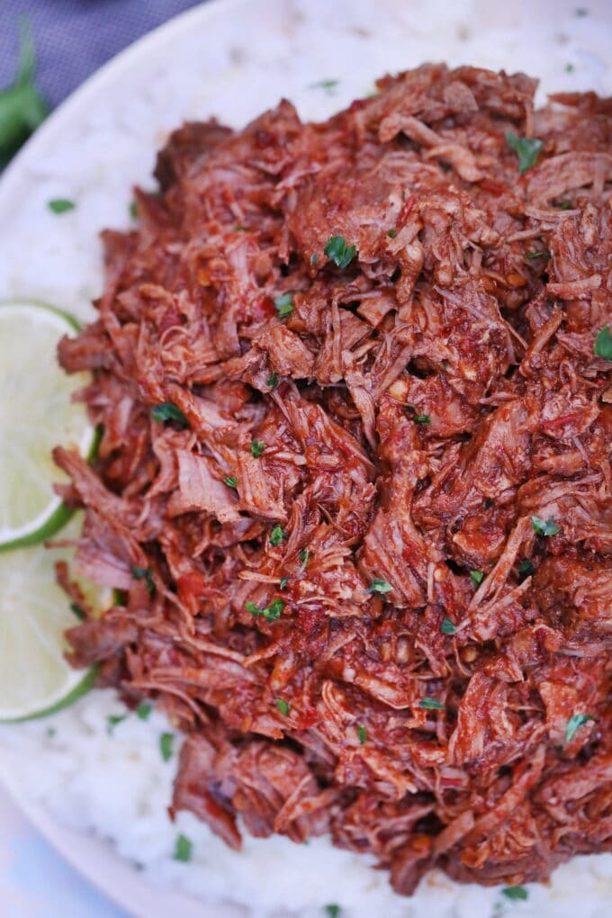 tender Barbacoa Beef over a plate of rice