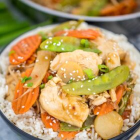 Homemade Moo Goo Gai Pan Recipe