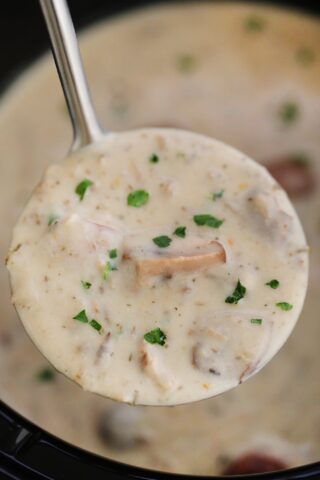 Slow Cooker Cream of Mushroom Soup