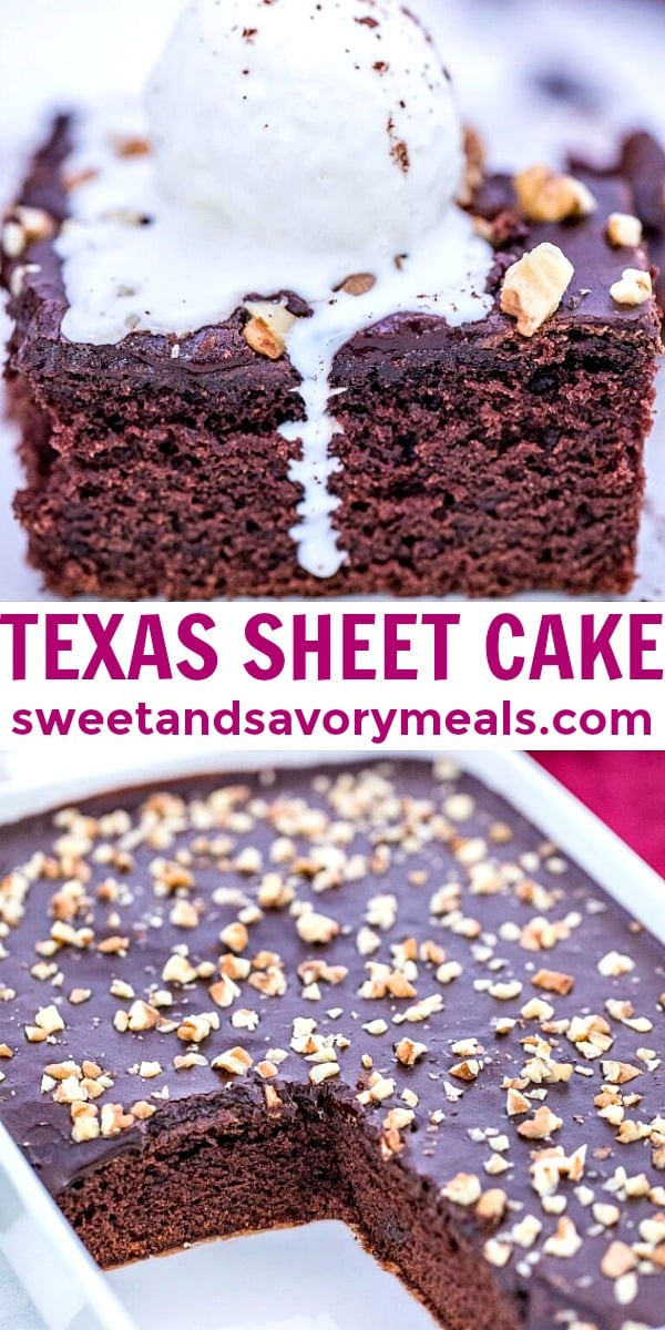 easy texas sheet cake pin
