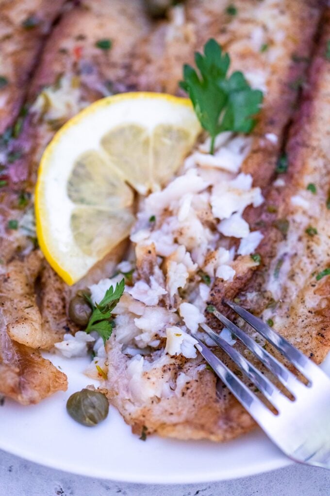 Garlic Butter Swai Fish Recipe [video] Sweet and Savory Meals