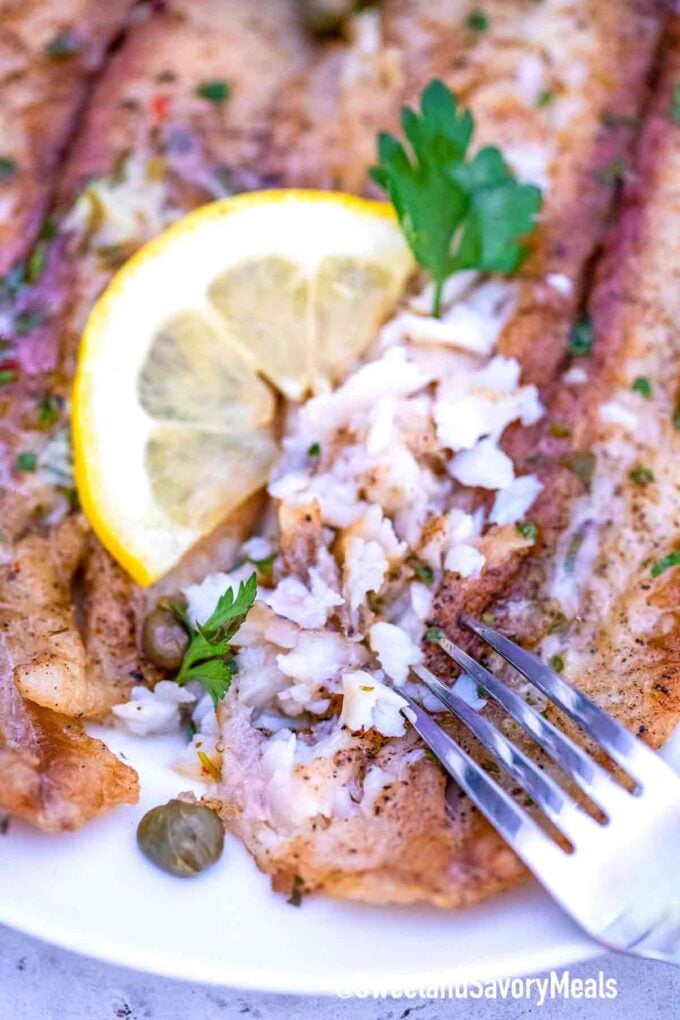 flaked Swai fish on a plate