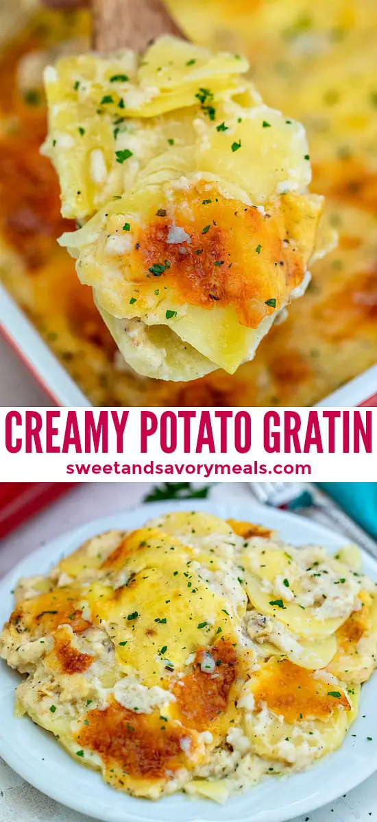 Creamy potato gratin recipe