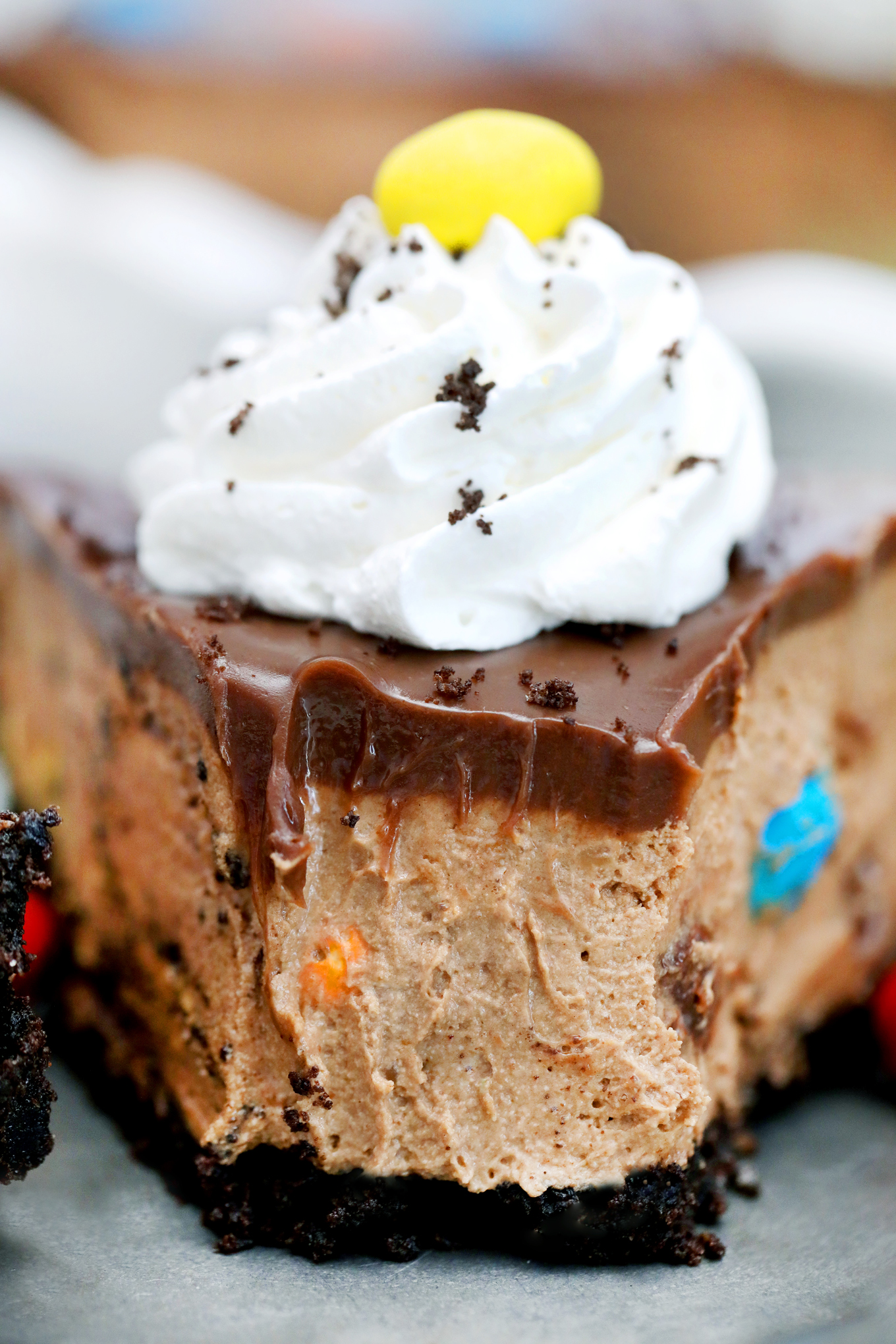 Thanksgiving Mini M&M Chocolate Graham