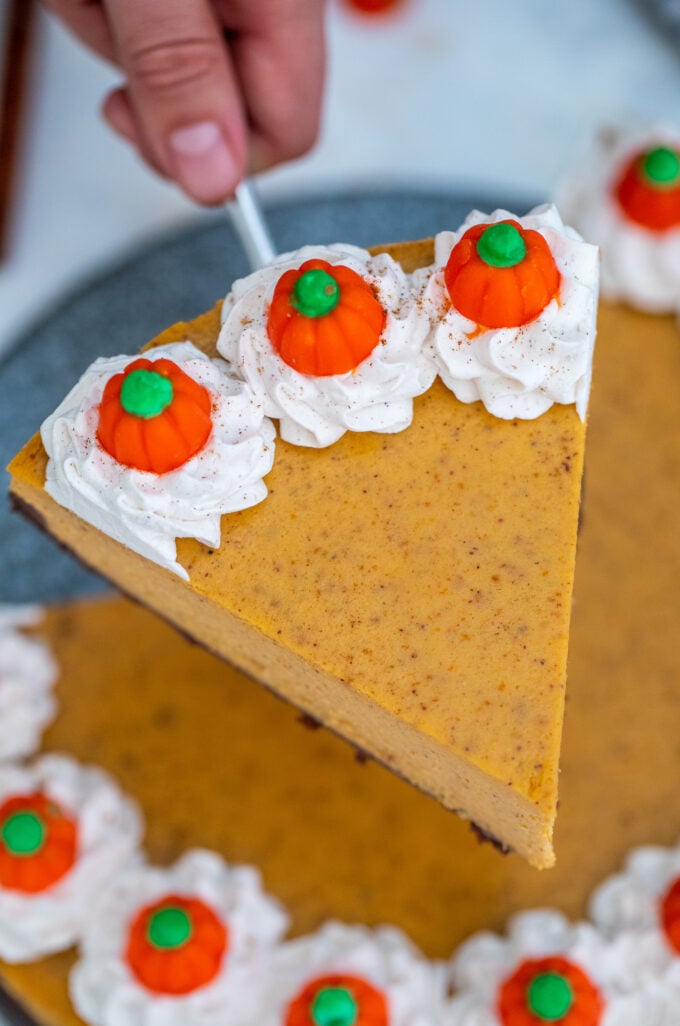 A slice of pumpkin spiced cheesecake topped with whipped cream and mini pumpkins