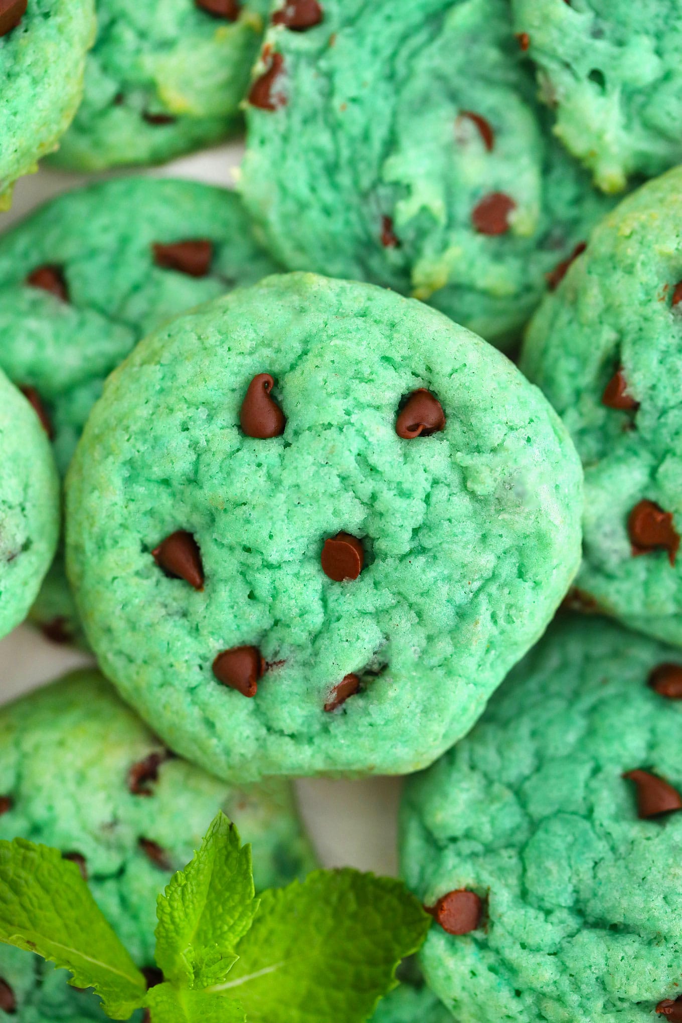 mint choco and cocoa cookie