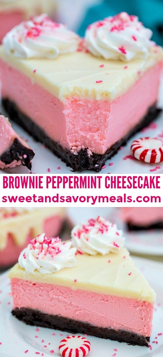 Peppermint Cheesecake is the most festive dessert this Christmas! It is not your ordinary dessert. It is rich, decadent, and refreshingly unique! #cheesecake #peppermint #christmasrecipes #christmasdesserts #sweetandsavorymeals