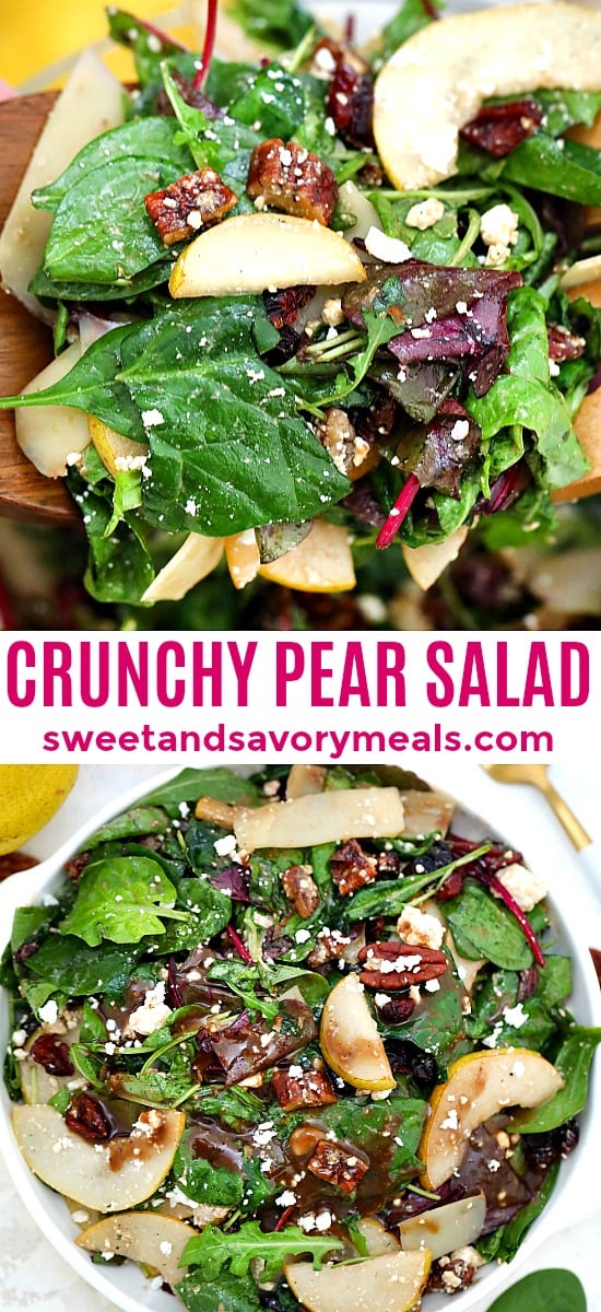 Pear Salad is the best salad for autumn and winter! Make the best out of this fruit by preparing this light and refreshing side dish for your savory meals! #salad #fallrecipes #pear #pearsalad #sweetandsavorymeals