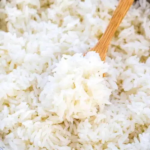https://sweetandsavorymeals.com/wp-content/uploads/2019/12/How-to-Cook-Perfect-Rice-in-the-Instant-Pot-500x500.jpg