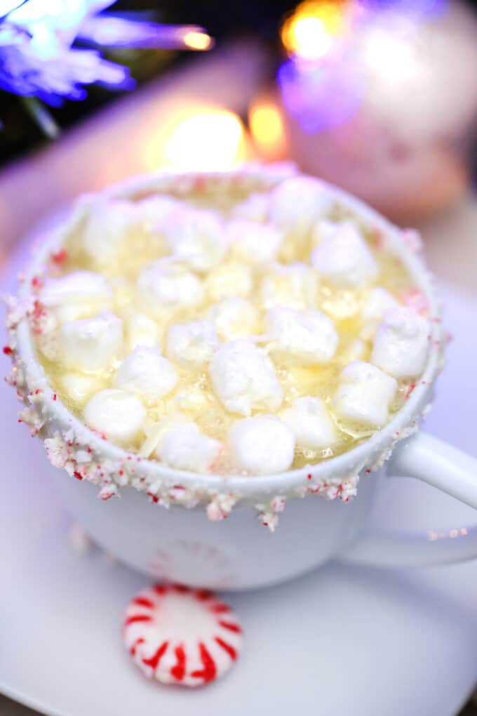 Hot Chocolate Recipes to Enjoy All Winter Long