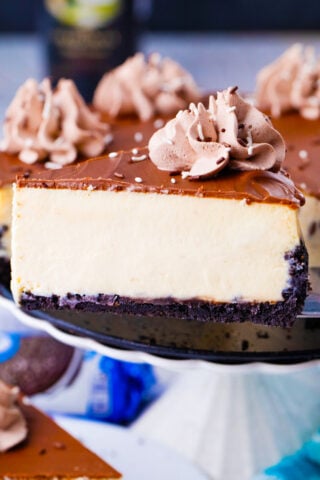 A slice of Bailey's cheesecake on a serving spatula.