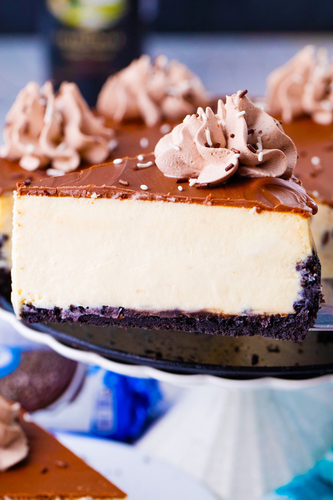 A slice of Bailey's cheesecake on a serving spatula.
