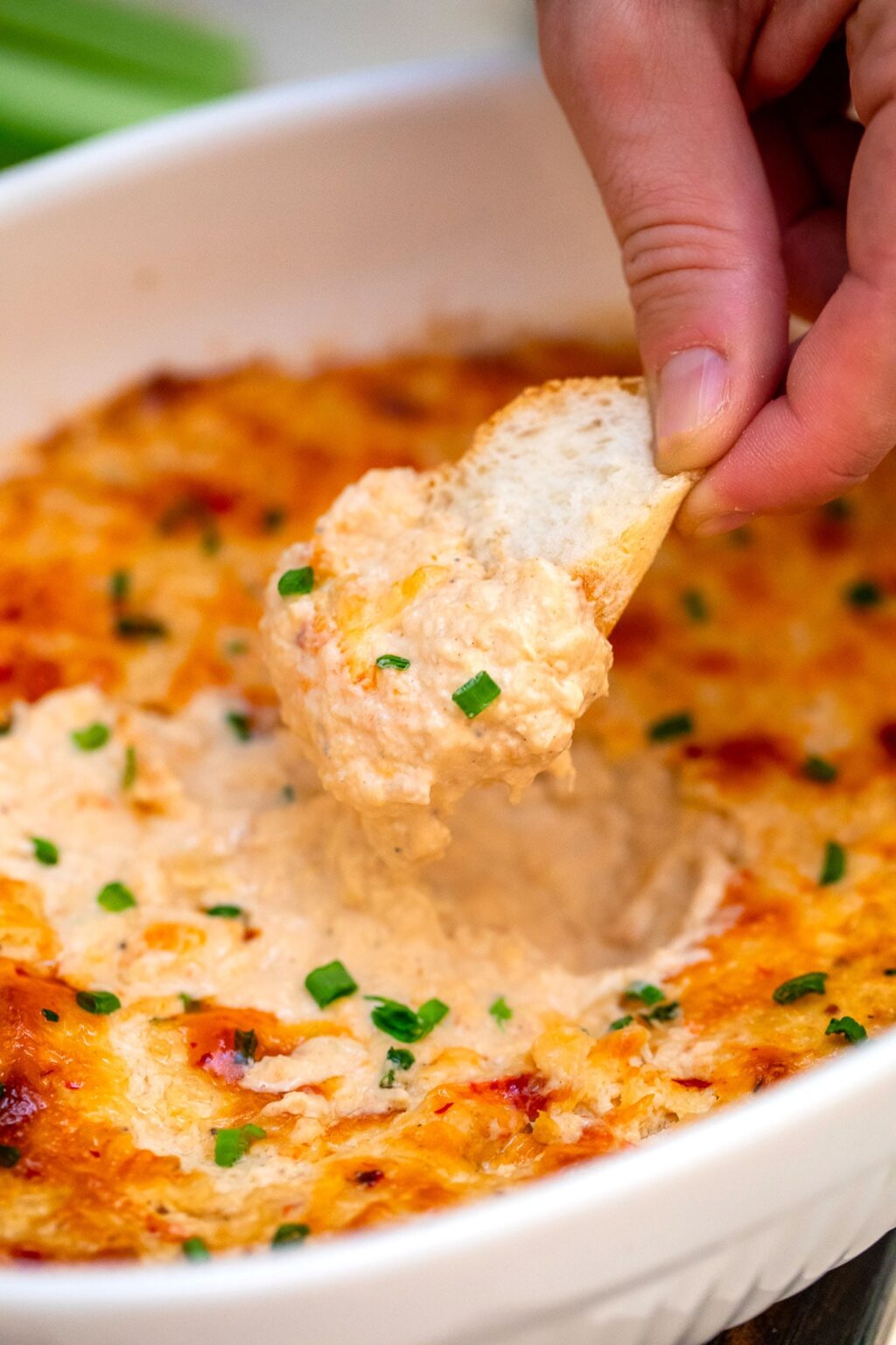 Hot Cheesy Crab Dip [Video] Sweet and Savory Meals