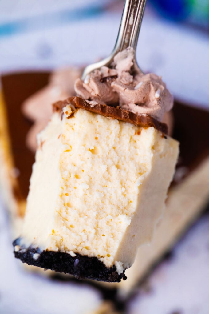 A forkful of rich and decadent Bailey's cheesecake.