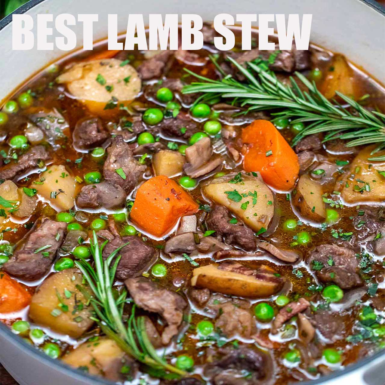 Lamb Stew Recipe - The Reluctant Gourmet