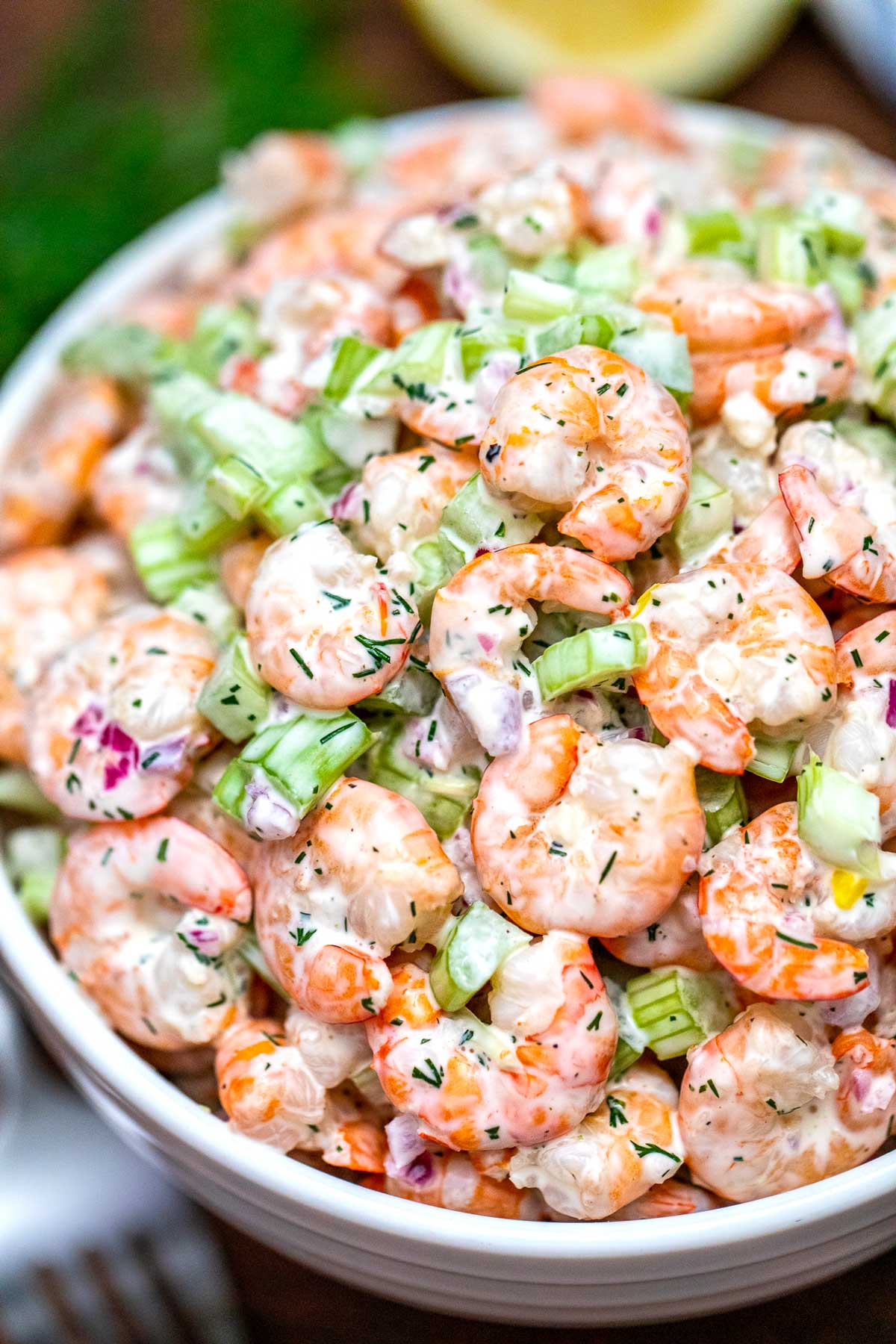 Fresh Shrimp Tossed Salad - Spirited and Then Some