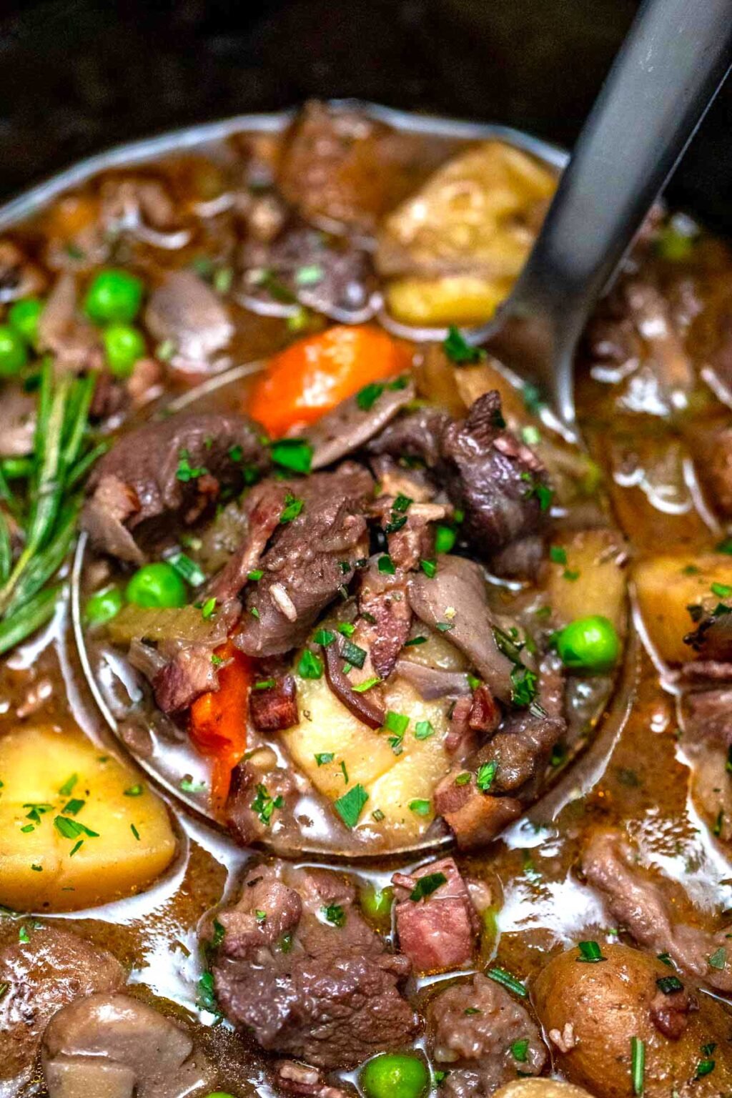 Lamb Stew (Irish) in a Slow Cooker Recipe [Video] S&SM