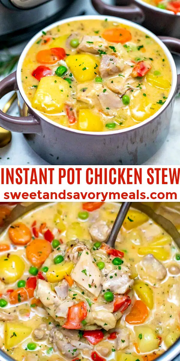 easy instant pot chicken stew pin