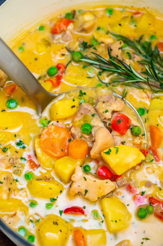 One pot chicken stew with veggies.