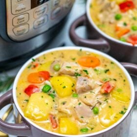 image of instant pot chicken stew bowl