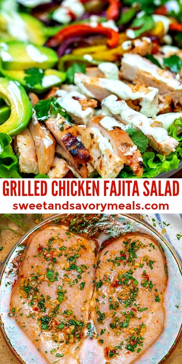 image of grilled chicken fajita salad