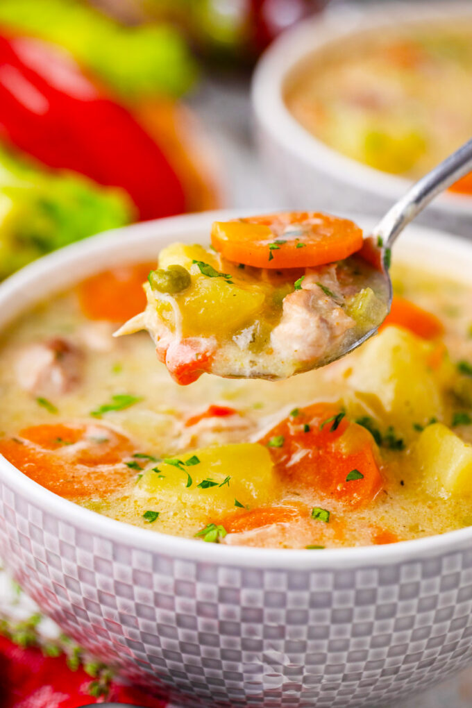 A spoonful of slow cooker chicken stew.