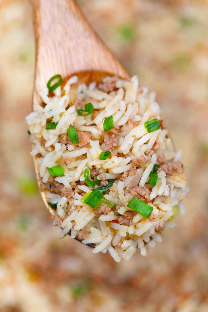 image of a scoop of southern dirty rice