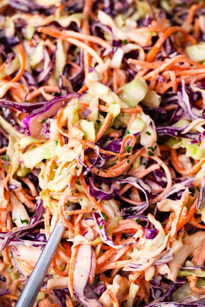 Creamy coleslaw salad with cabbage and carrots.