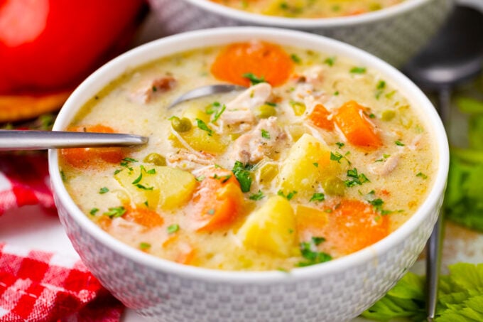 A bowl of creamy slow cooker chicken stew with lots of veggies.