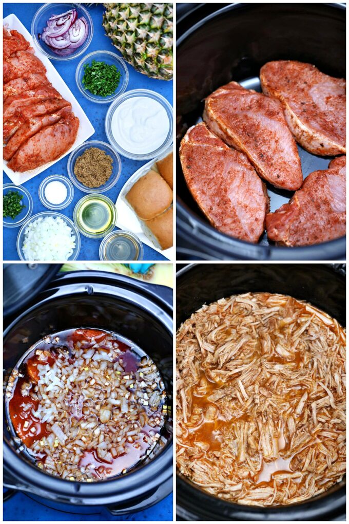 Photo of slow cooker pork carnitas ingredients.