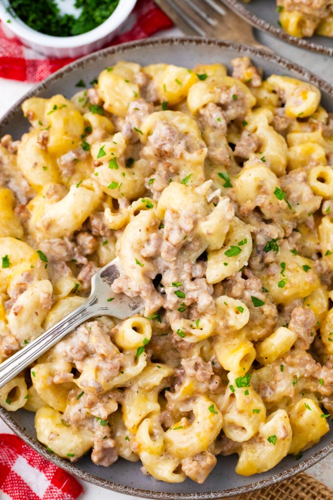 A plate of Instant Pot cheeseburger macaroni.