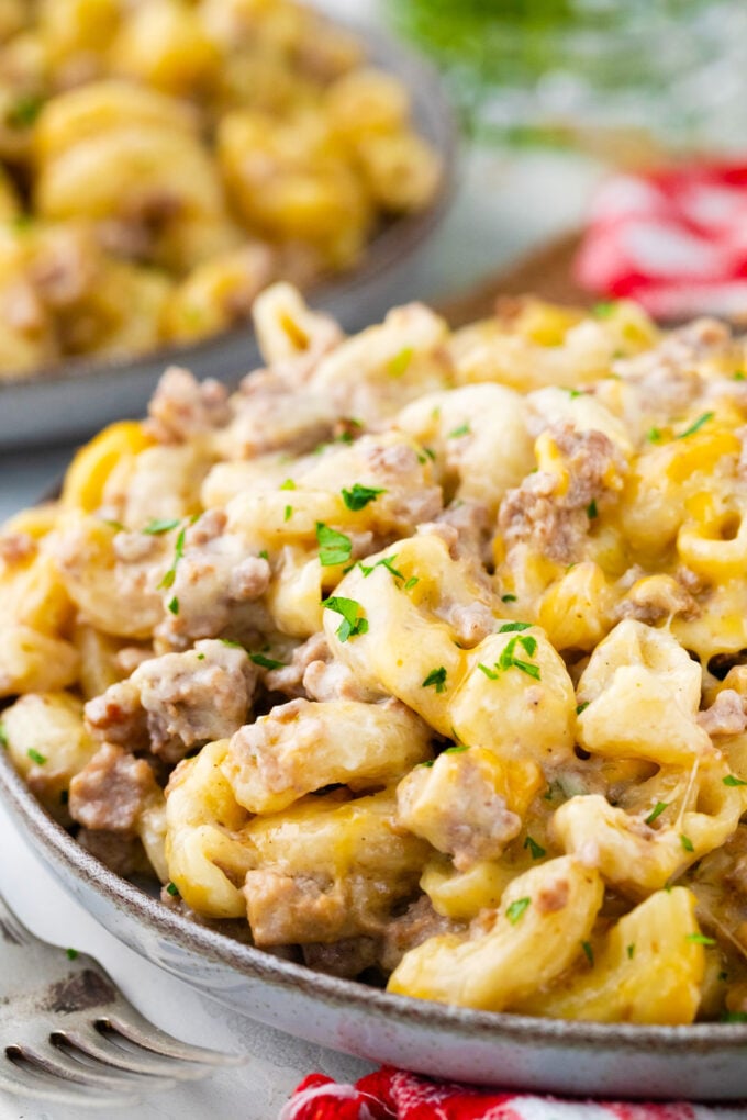 A plate of Instant Pot hamburger helper.