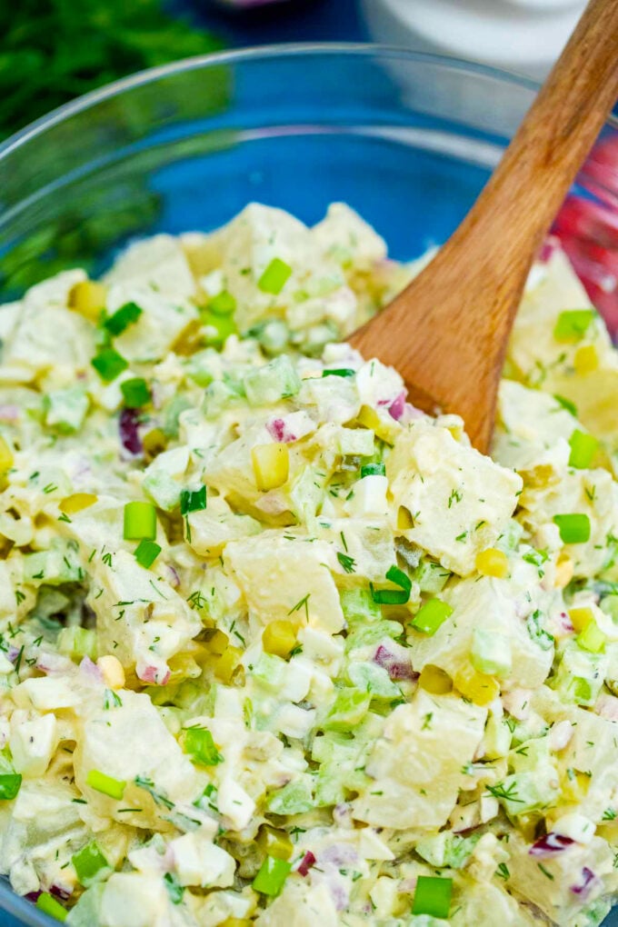 Creamy potato salad with celery, red onion, pickles, and eggs.