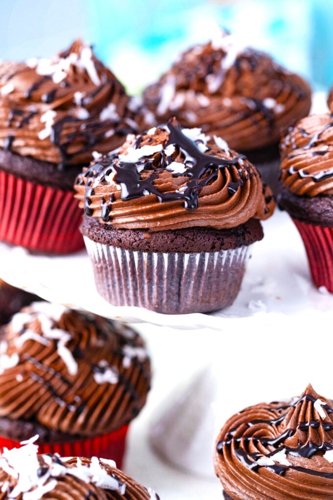 German chocolate cupcakes with coconut-pecan filling and chocolate cream cheese frosting on a cake stanf.