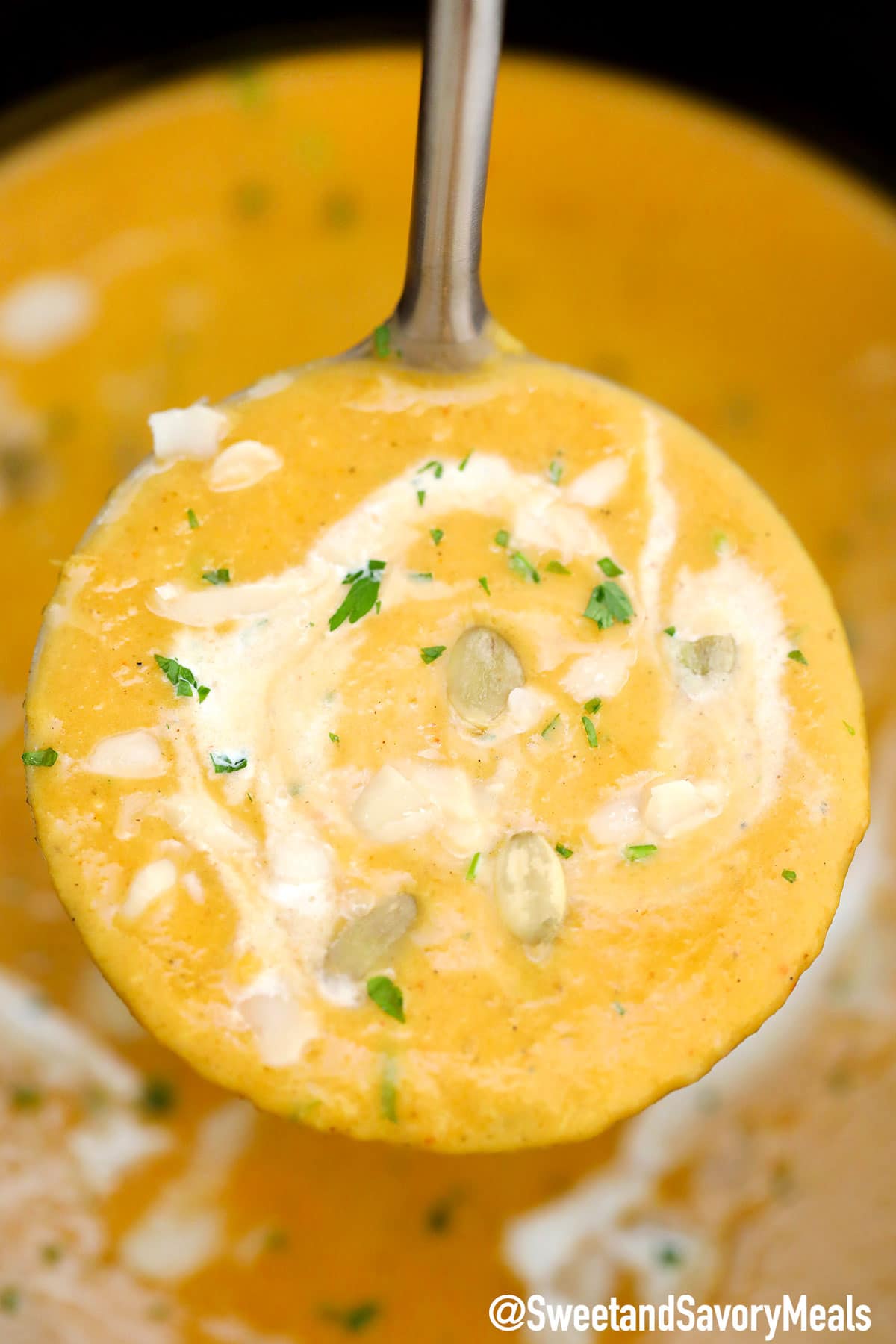 Slow Cooker Pumpkin Soup Sweet and Savory Meals