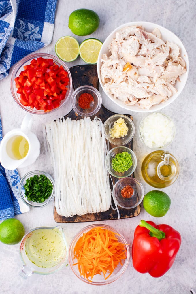 Overhead shot of slow cooker Asian chicken noodle soup ingredients arranged on a light surface.