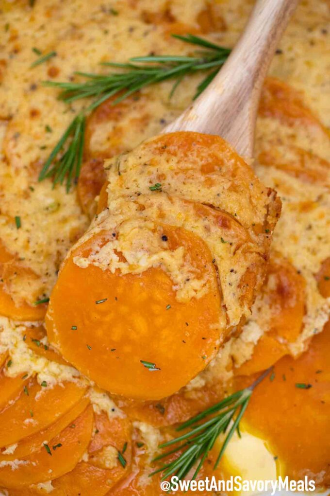 Cheesy scalloped sweet potatoes on a wooden spoon and garnished with fresh rosemary